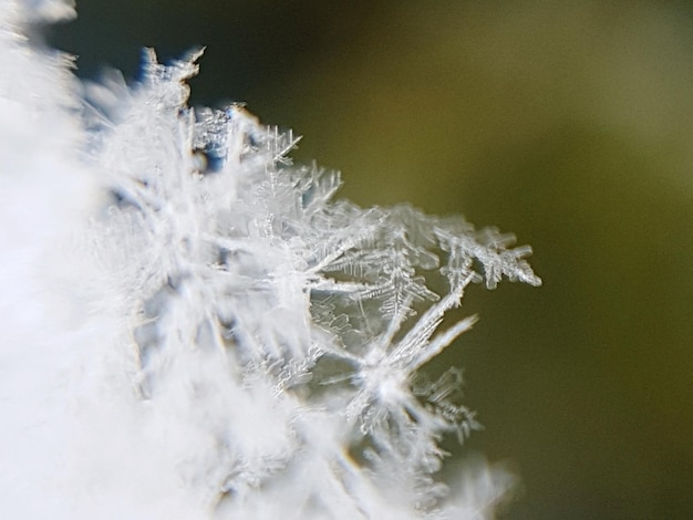 写真 白い背景の雪のクローズアップ