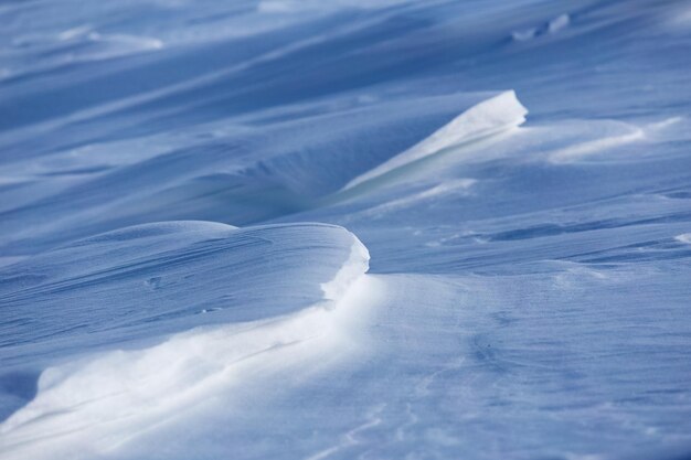 写真 雪のクローズアップ