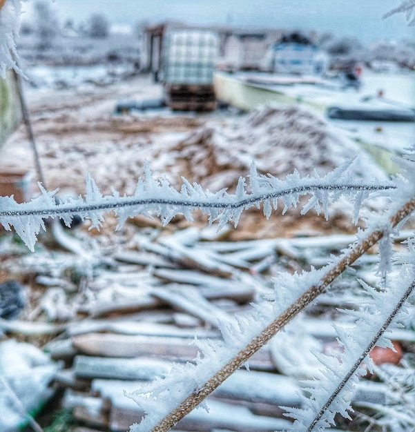 Фото Близкий план снега