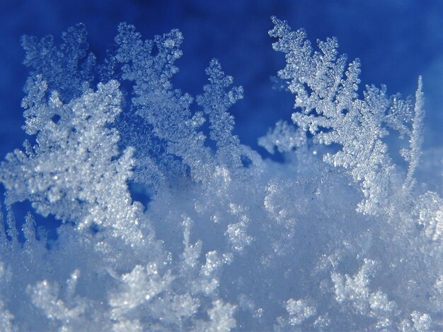 写真 青い空の雪花のクローズアップ