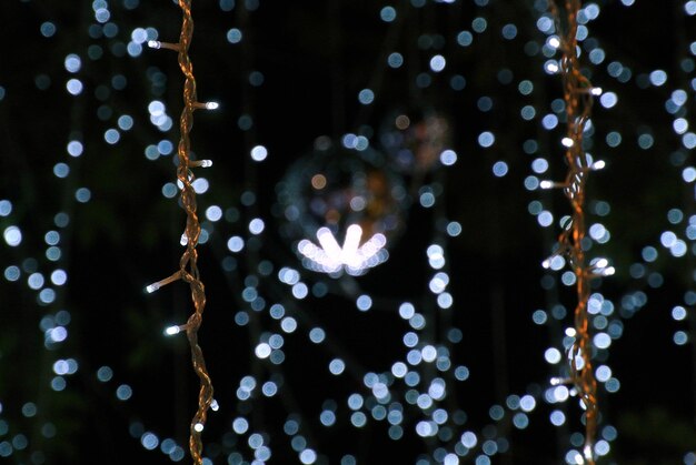 写真 黒い背景の蜘蛛の網のクローズアップ