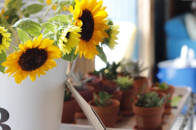 写真 テーブルの上の紫陽花のクローズアップ