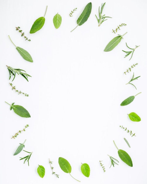 Фото Близкий план различных листьев на белом фоне