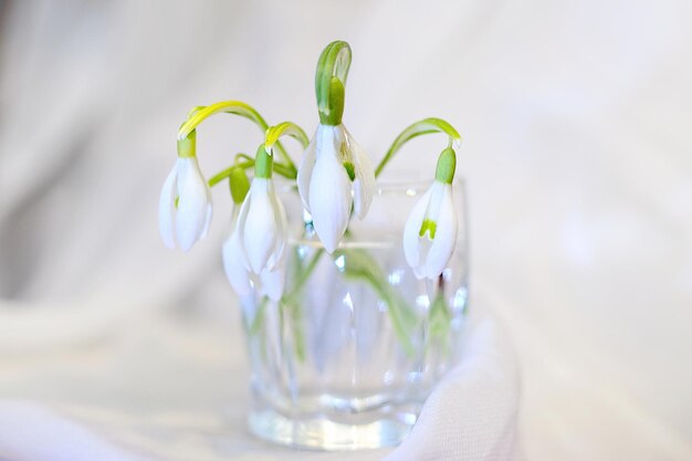 写真 テーブルの上の花瓶のクローズアップ