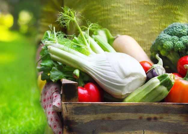 写真 箱の中の野菜のクローズアップ