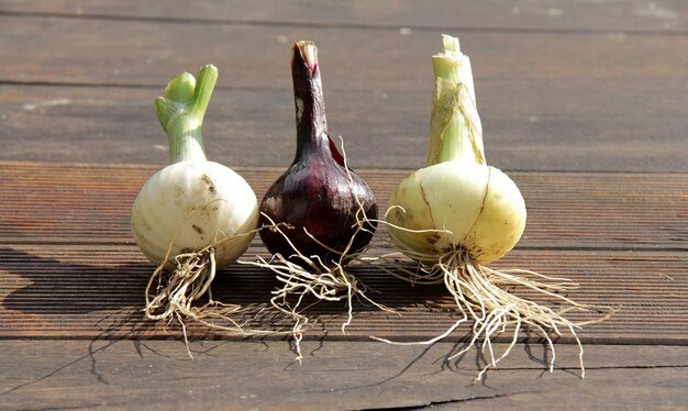 写真 木製のテーブルの上の野菜のクローズアップ