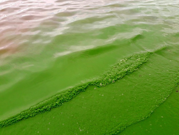 Фото Крупный план капель воды на море