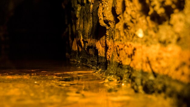 Фото Близкий взгляд на воду на солнечном свете