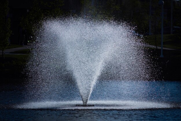 写真 黒い背景に水が散らばっているクローズアップ