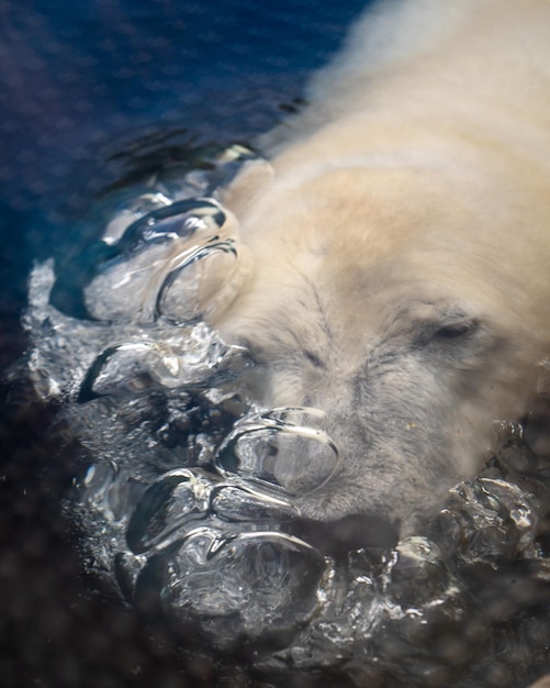 写真 水のクローズアップ