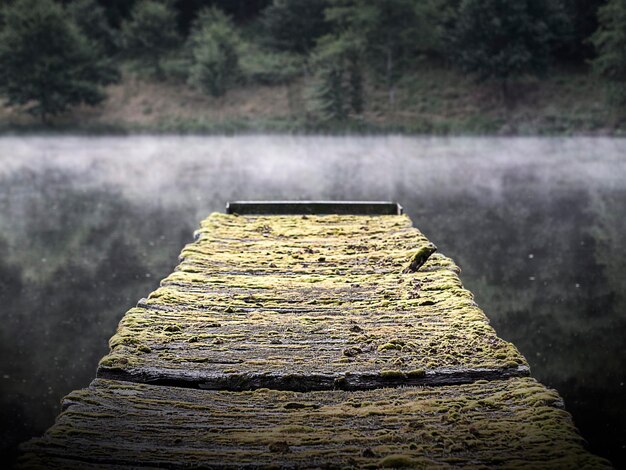 写真 水のクローズアップ