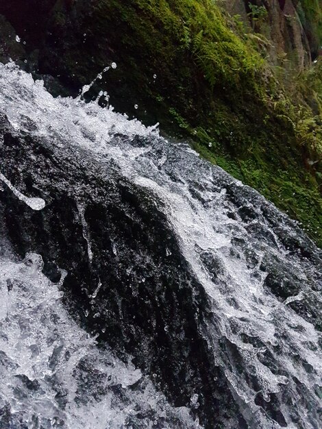 Фото Близкий план водопада в лесу