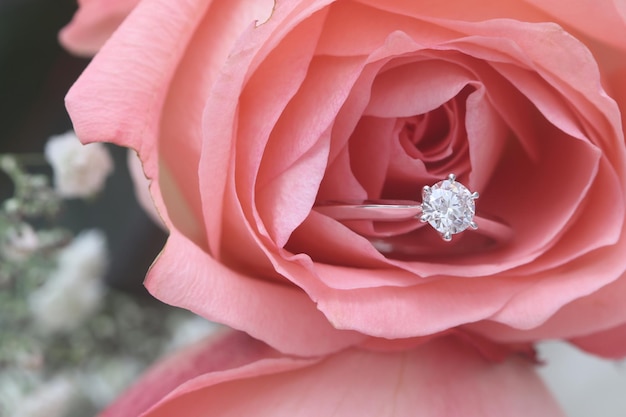사진 장미색 의 결혼 반지 의 클로즈업