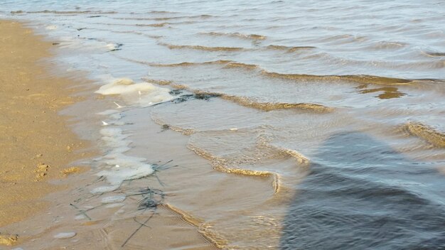 写真 ビーチの湿った砂のクローズアップ