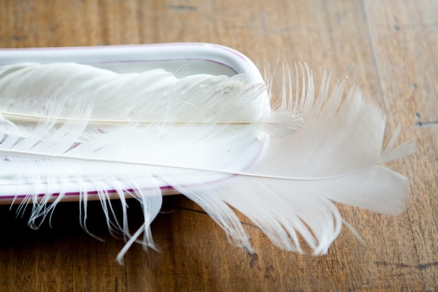 Фото Ближайший план белого перья в керамическом контейнере на столе