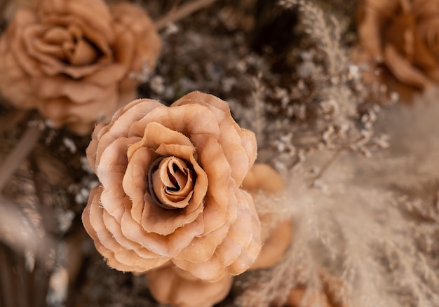 Фото Близкий снимок увядшей розы