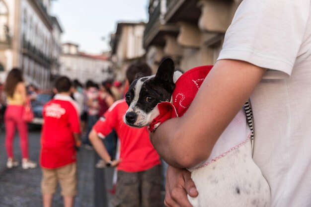 写真 子犬を抱いた女性のクローズアップ