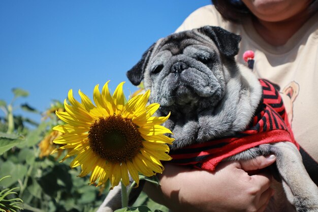 写真 犬と一緒にいる女性のクローズアップ