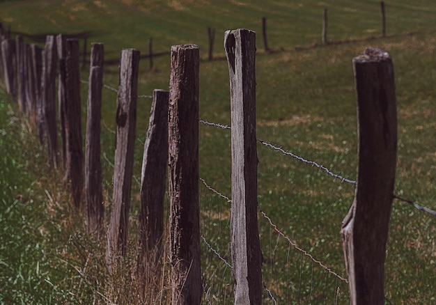 Фото Близкий взгляд на деревянный забор на поле