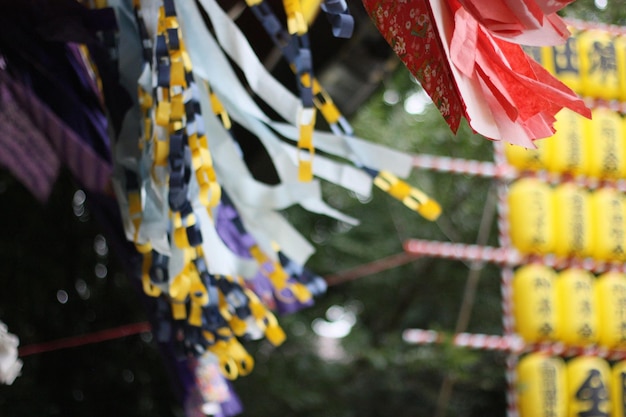 写真 黄色い花のクローズアップ