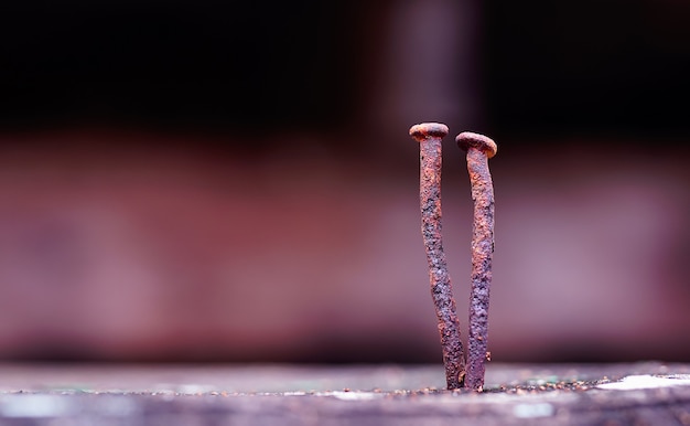 Photo close up old nail on the woodselective focus