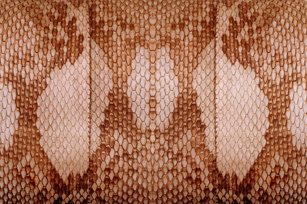 Close-up of old real snake skin bag, nature texture background