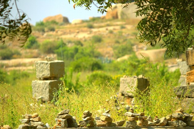 Close-up of old ruin