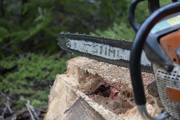 Close-up of old rusty metal on field