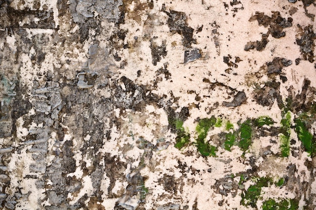 Close up of old wall texture