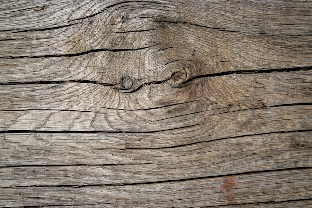 Close-up of old wood texture