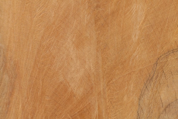 Close up of old wooden cut texture