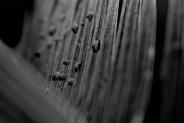 Photo close-up of old wooden door