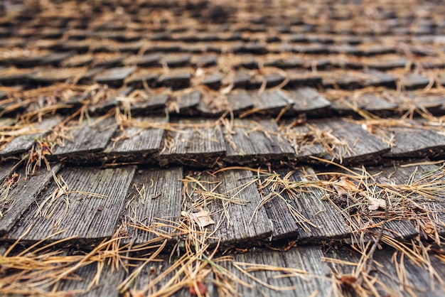 Close-up of an old wooden roof with fallen pine needles.