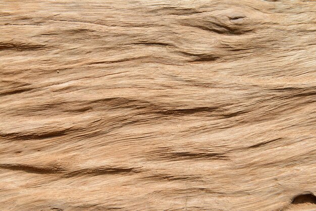 close-up of old wooden for texture background