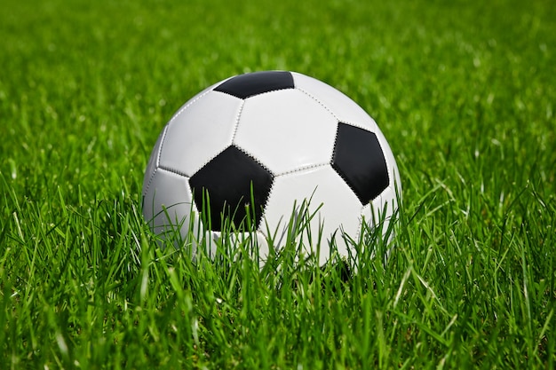 Close up one black and white football ball in green grass of soccer turf field pitch, low angle, side view