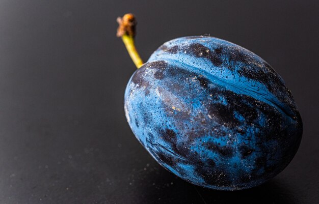 Close up of one plum fruit with copy space