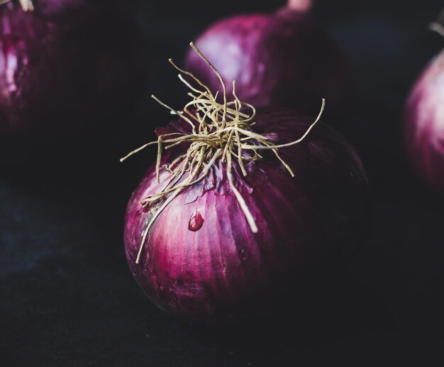 Close-up of onion