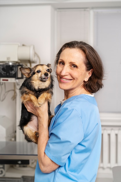 Foto close-up op dierenarts die voor huisdier zorgt