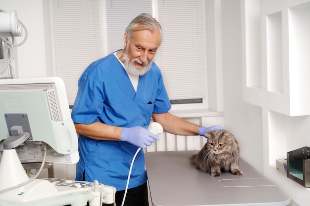 Foto close-up op dierenarts die voor huisdier zorgt