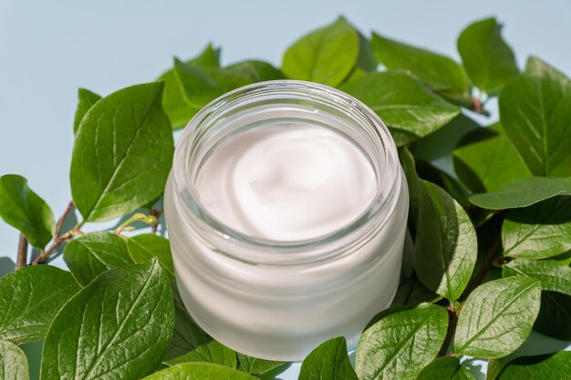 Close up of opened jar with face cream on blue background with green leaves skincare natural cosmetics copy space for text