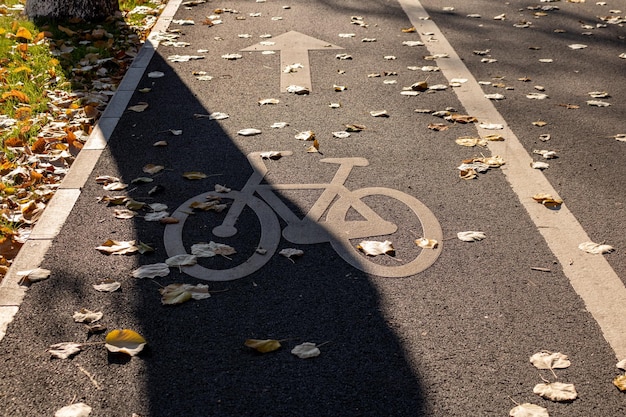 Foto close-up opname van een lege fietsweg in het park in de herfst