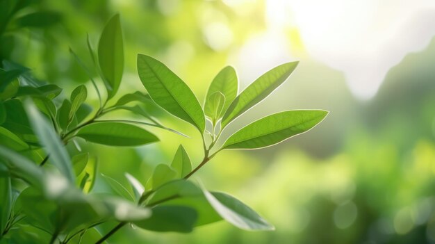 Close-up opname van verse groene plantbladeren die in de tuin groeien, gecreëerd met Generative AI-technologie