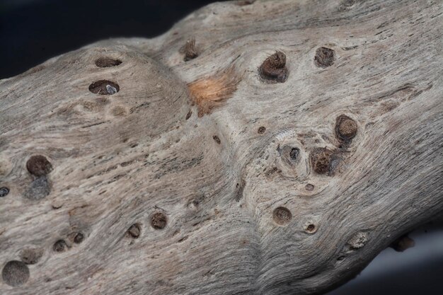Foto close-up oppervlaktetextuur van een gedroogd blok drijfhout