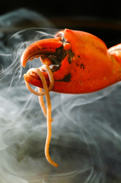 Foto prossimo piano di un granchio arancione