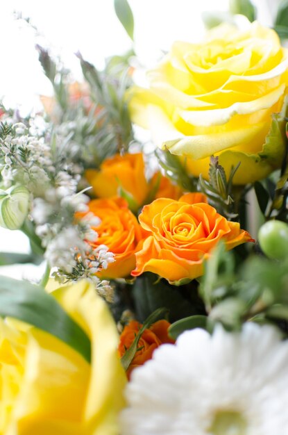 Close-up of orange flower