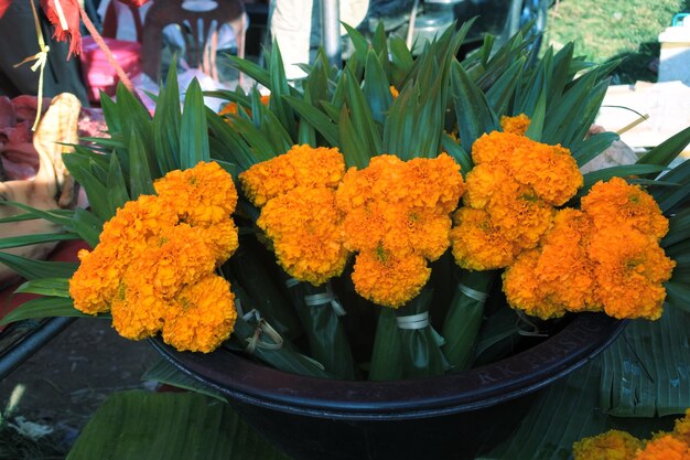 Close-up of orange flowers for sale