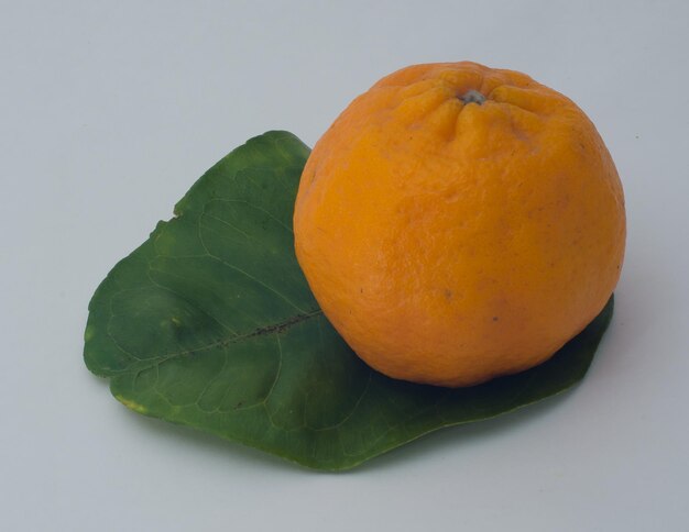 Close-up of orange fruit against white background