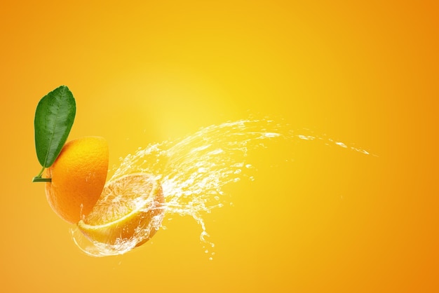 Close-up of orange fruit against white background