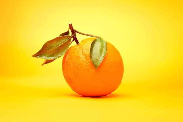 Close-up of orange fruit against yellow background