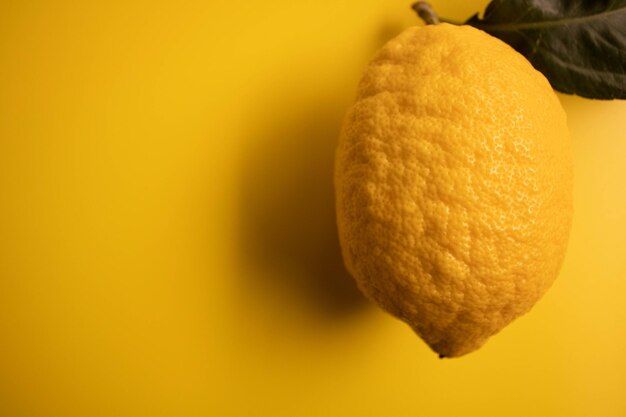 Close-up of orange fruit against yellow background